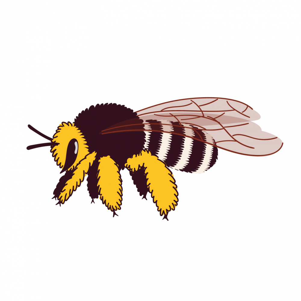 A picture of a bee